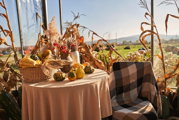 Free Photo beautifully decorated dining table with pumpkins and springs of viburnum during autumn season front