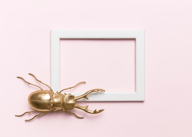 Free photo beetle and frame