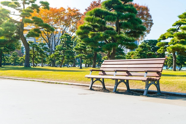 Bench in autumn park