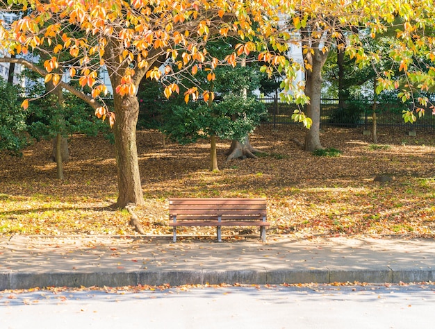 Bench in autumn park