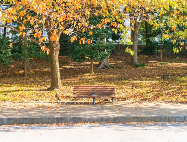 Bench in autumn park