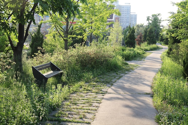 Bench in a park in South Korea