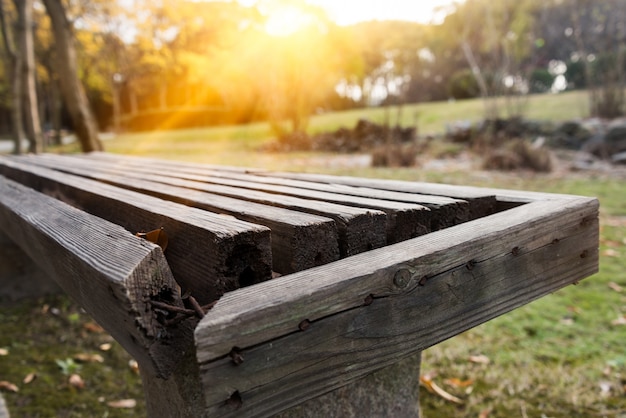 Free photo bench in a park on sunny day