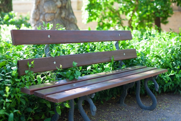 Bench of a park