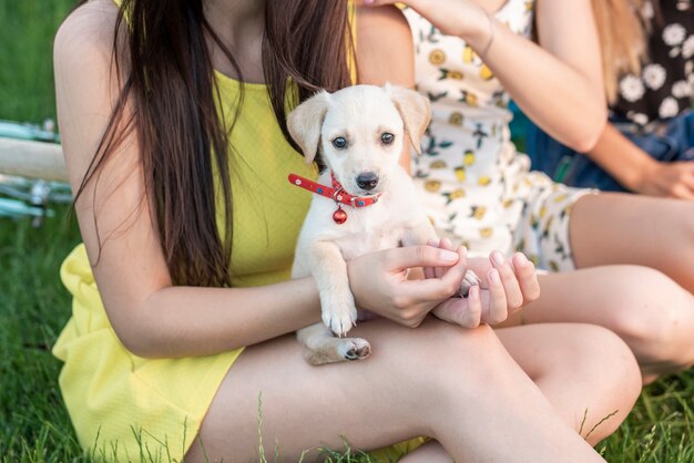 Best friends holding in arms a cute dog