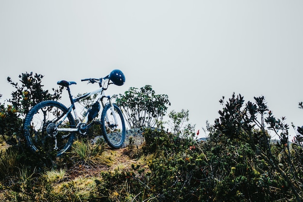 Free photo bicycle with a helmet parked near the green plants