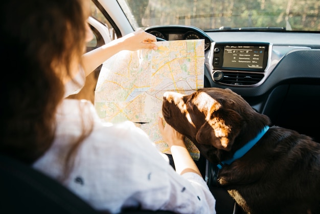 Free photo big black dog in car