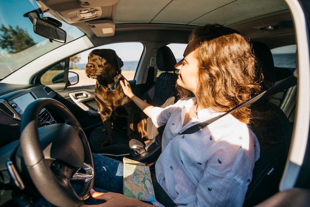 Big black dog in car