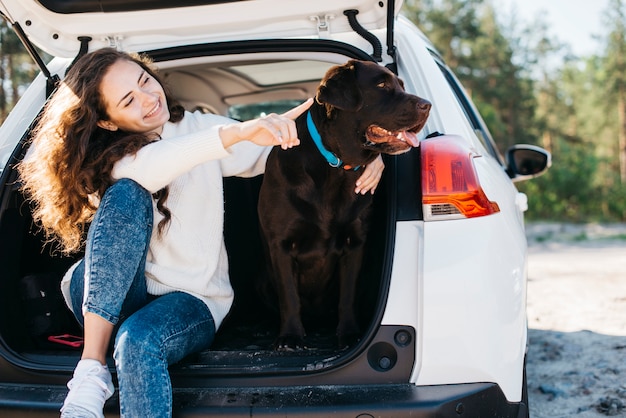 Big black dog in car