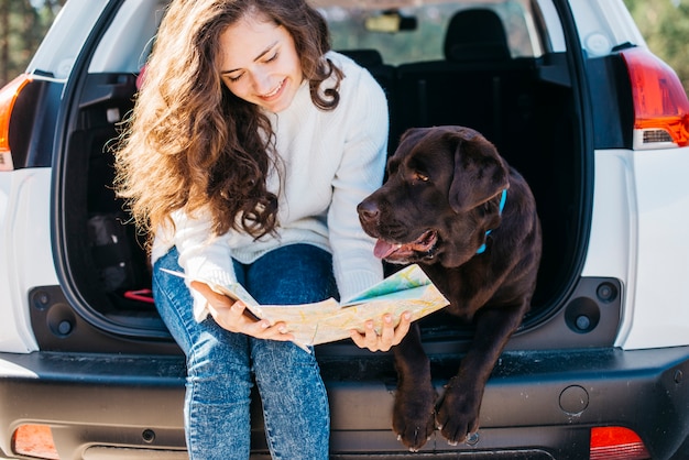 Big black dog in car