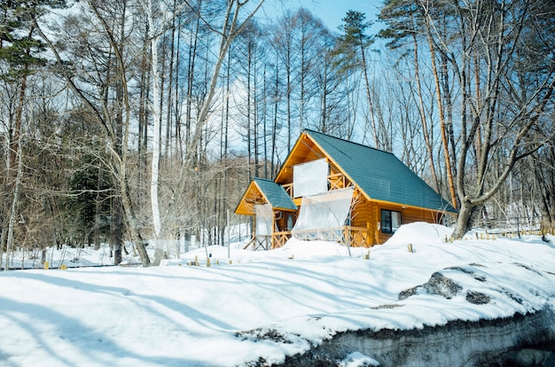 Free photo big hut in snow scene