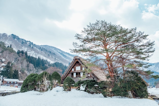 big hut in snow at Shirakawago, Japan