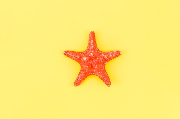 Free photo big red sea star on yellow table