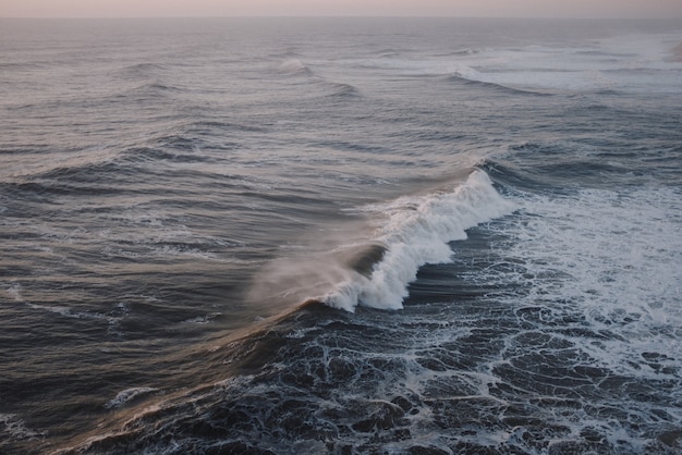 Free Photo big wave breaking at sunset