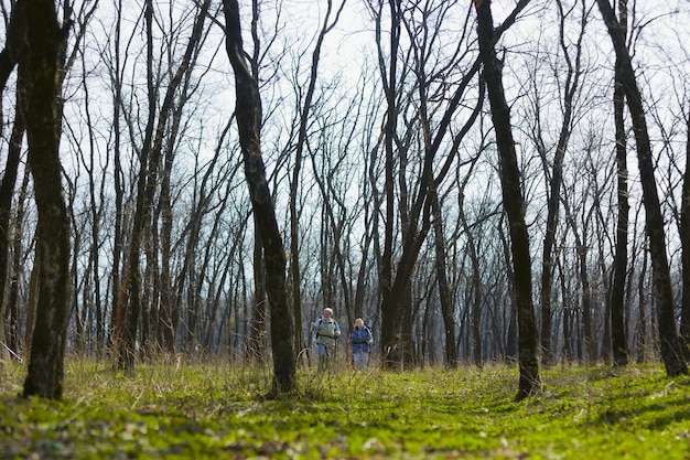 Free photo in a big world of nature. aged family couple of man and woman in tourist outfit walking at green lawn near by trees in sunny day