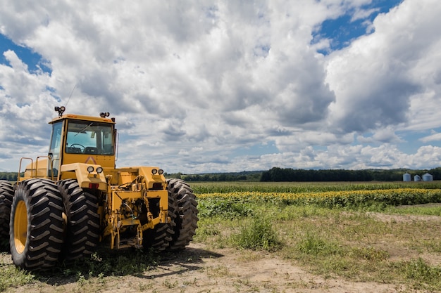 Big yellow tractor in the sunflower and cornfield under a blue cloudy sky