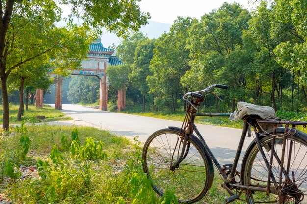 Bike in a spring park