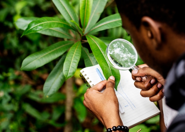 Free photo biologist in a forest