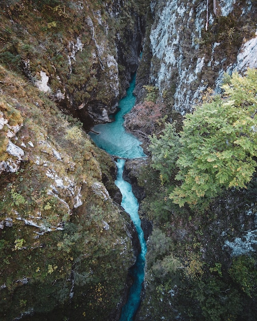 Free photo bird-eye vertical shot of a river flowing through the rocks