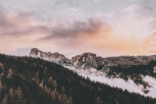 Free photo bird's eye of mountain