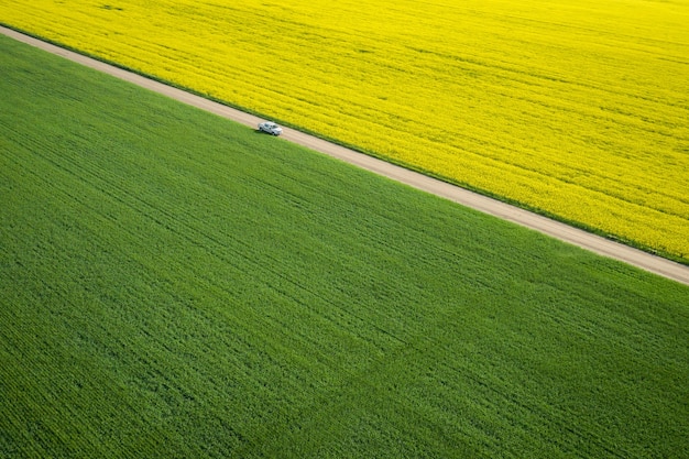 Free Photo bird's-eye view of a large field with a narrow road in the middle during a sunny day