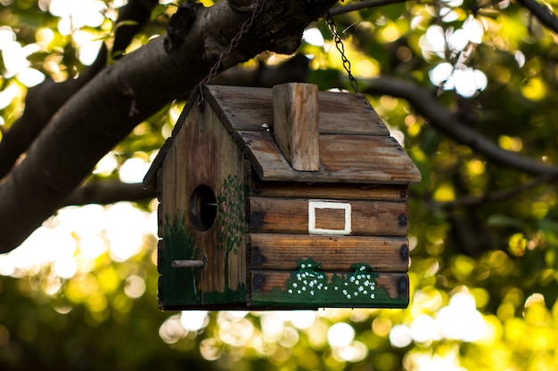 Free photo birdhouse on a branch