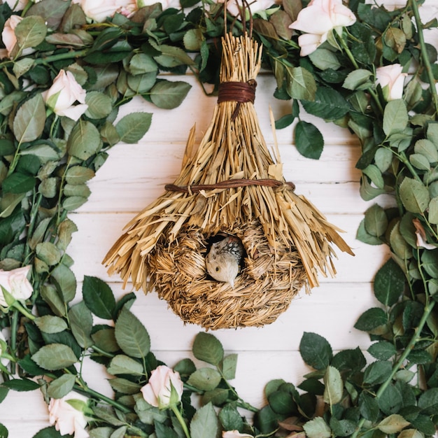 Free Photo birdhouse in wreath