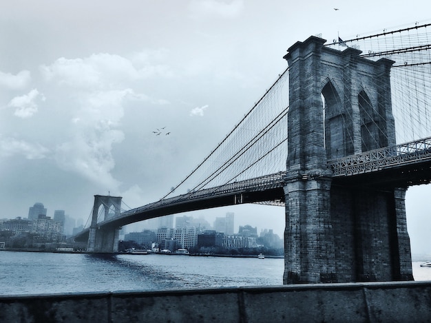 Birds flying over the Brooklyn Bridge in New York City, USA