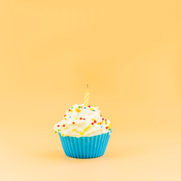 Birthday cupcake with candle