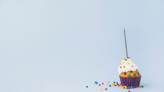 Birthday cupcake with sparkler