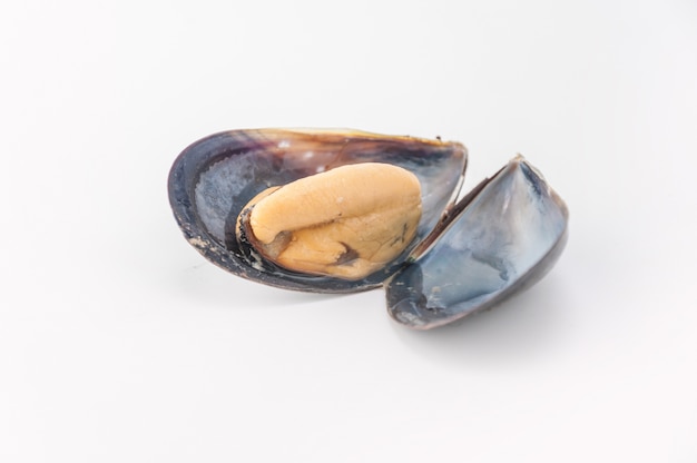 bivalve ingredient mussel invertebrates traditional