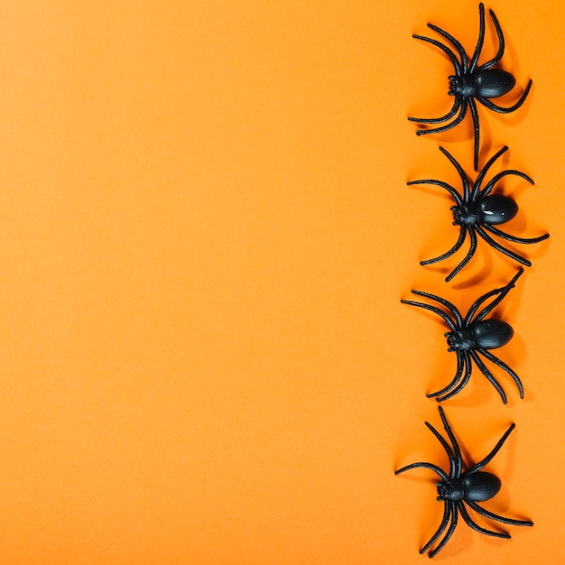 Free Photo black artificial spiders laid in line