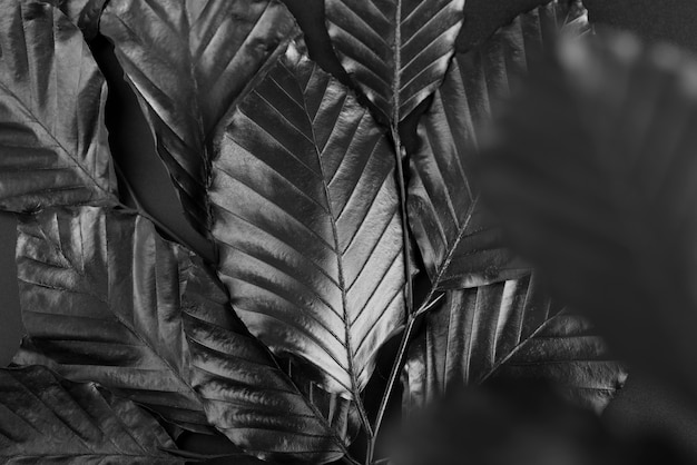 Black background with leaves and vegetation texture