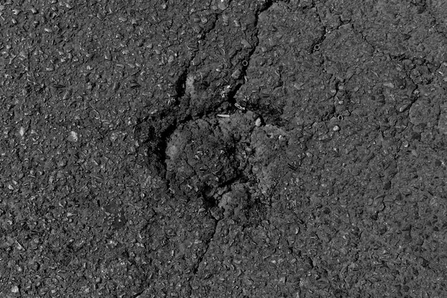 Free photo black broken asphalt texture or background