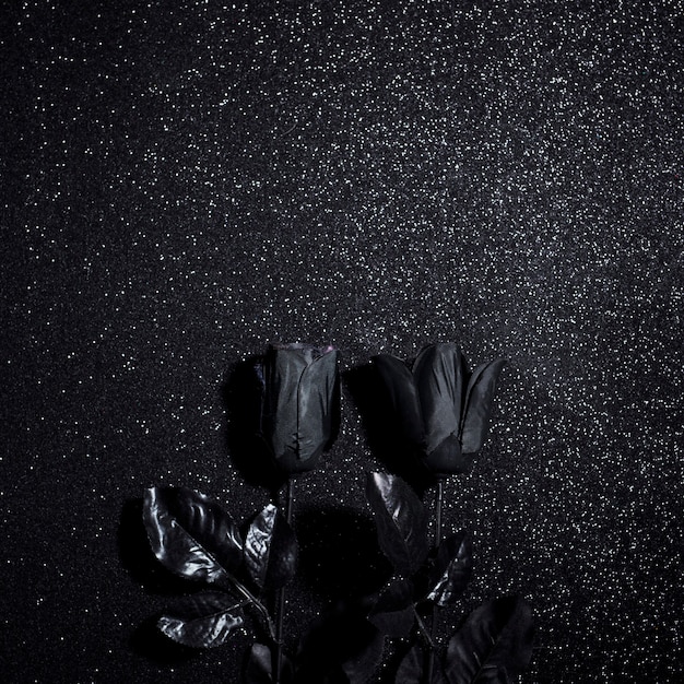 Free photo black flowers for halloween night