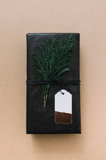 Free photo black gift box with green cypress branch