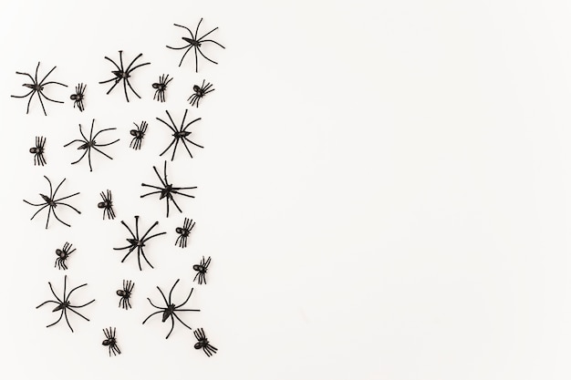 Black Halloween spiders