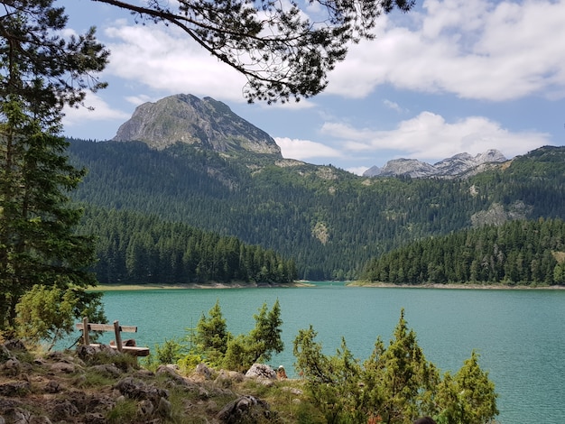 Black Lake surrounded by rocks covered in greenery under the sunlight in Montenegro