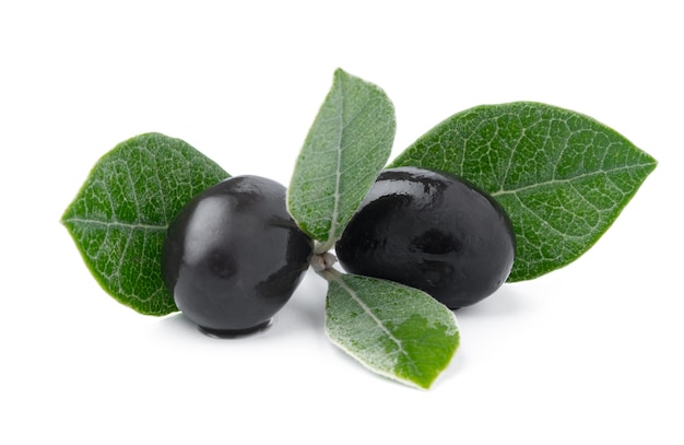 Free photo black olives with leaves isolated on white background