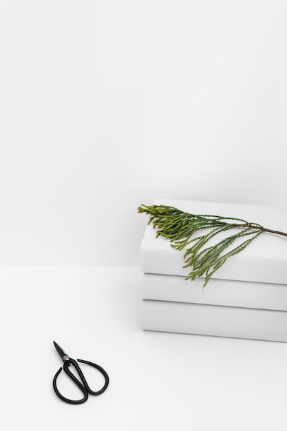 Free Photo black scissor with cedar twig on stacked of white books against white background