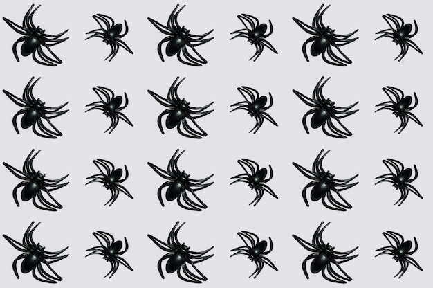 Free photo black spiders laid in lines