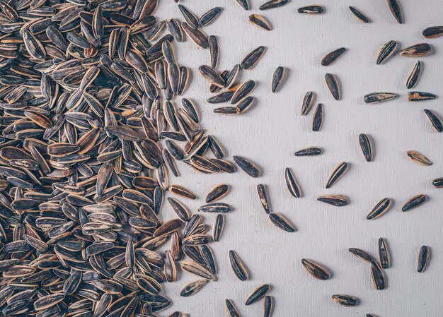 Black sunflower seeds on a white background. top view.