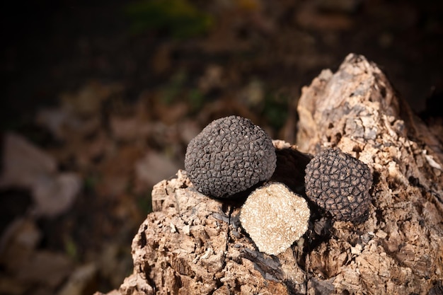 Free photo black truffles on wood