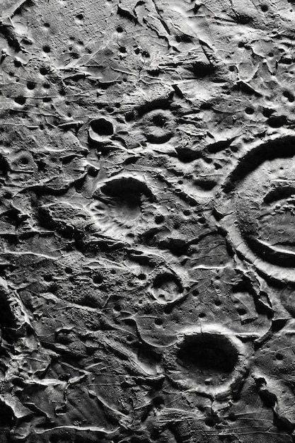 Free Photo black and white details of moon texture concept