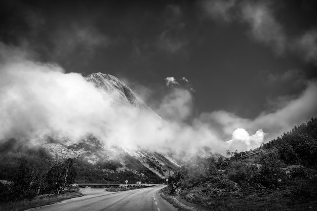 Black and white landscape with fog