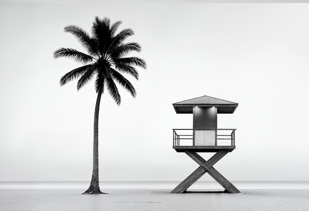 Free photo black and white palm landscape