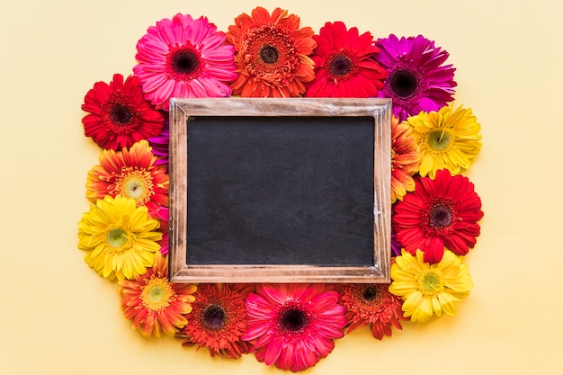 Free photo blackboard on colorful flowers