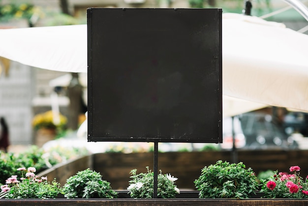 Blackboard on flowerbed