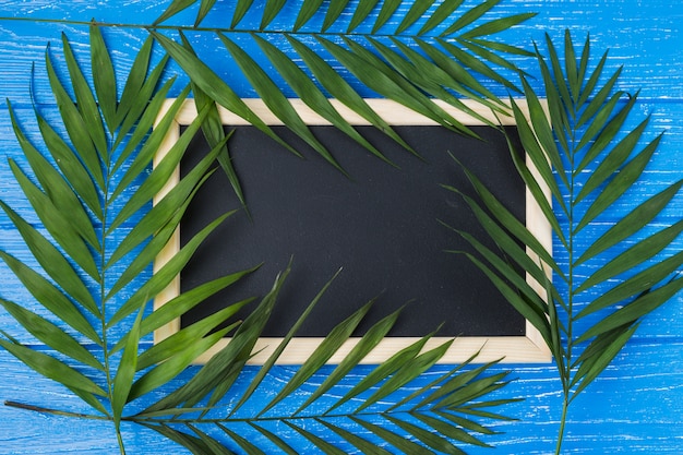 Free Photo blackboard and plant leaves on board