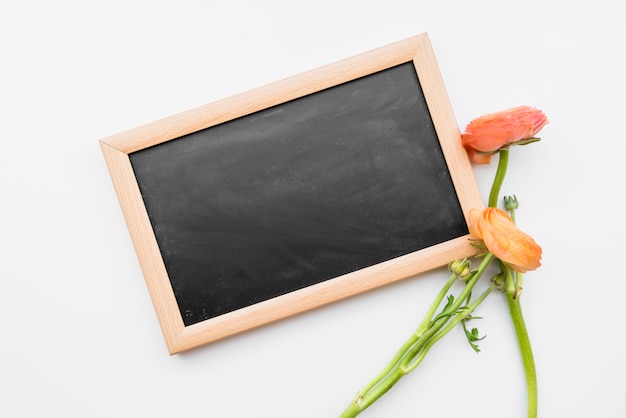 Blackboard and red flowers on white background